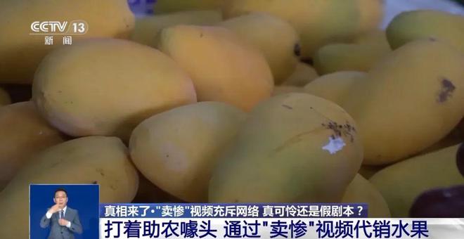 大反转！央视曝光：这些都是假的(图5)