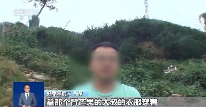 大反转！央视曝光：这些都是假的(图8)