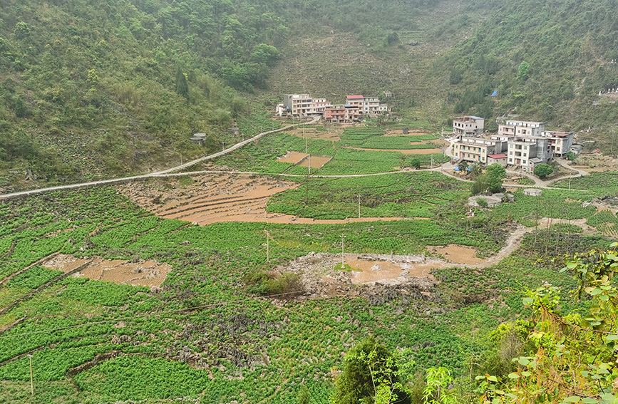 粤桂协作结硕果：隆明村集体经济突破百万元背后的山海情谊