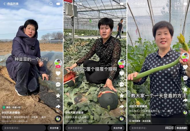 当手机成为“新农具”“蔬菜之乡”的新农人在快手点亮云上课堂(图4)