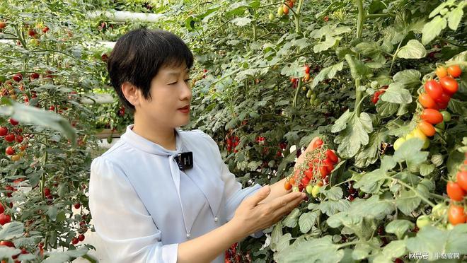 当手机成为“新农具”“蔬菜之乡”的新农人在快手点亮云上课堂(图5)