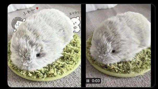 AI宠物热潮快要来了