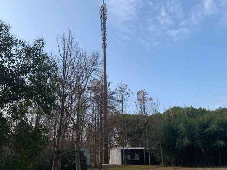 智能视频生成技术：人工智能免费打造个性化内容(图1)