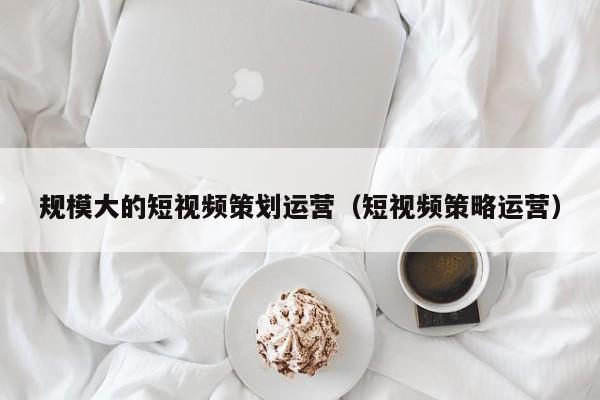 短视频营销策略及其实践研究(图1)
