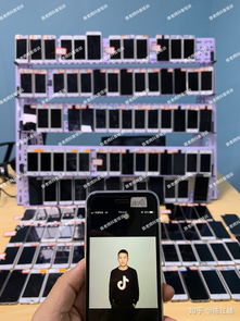 抖音怎么推广房源效果才好(图1)