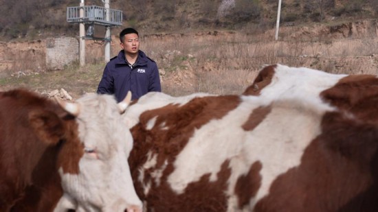 短视频助力中国“00后”开拓农村创业新途径(图1)