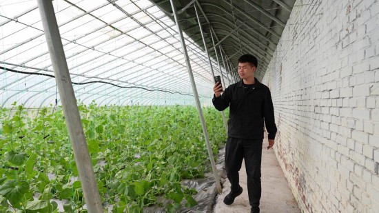 短视频助力中国“00后”开拓农村创业新途径(图2)